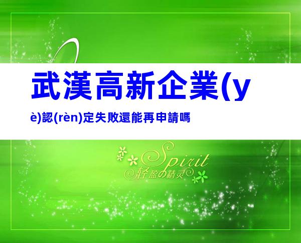 武漢高新企業(yè)認(rèn)定失敗還能再申請嗎