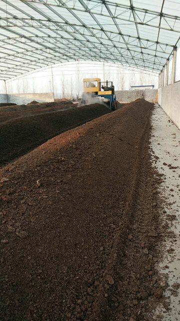 雞糞發(fā)酵有機(jī)肥的市場(chǎng)前景與生產(chǎn)策略分析