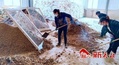 沃土富民路，生態高橋村 發展有機肥料產業，書寫鄉村振興新篇章