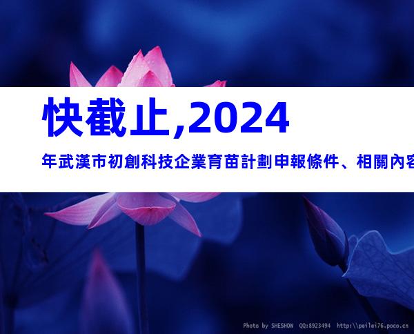 快截止,2024年武漢市初創科技企業育苗計劃申報條件、相關內容