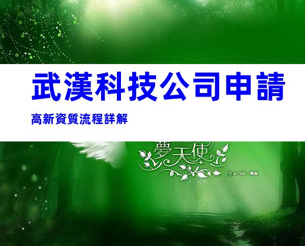 武漢科技公司申請高新資質流程詳解
