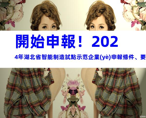 開始申報！2024年湖北省智能制造試點示范企業(yè)申報條件、要素及申報時間