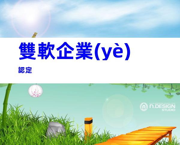 雙軟企業(yè)認定